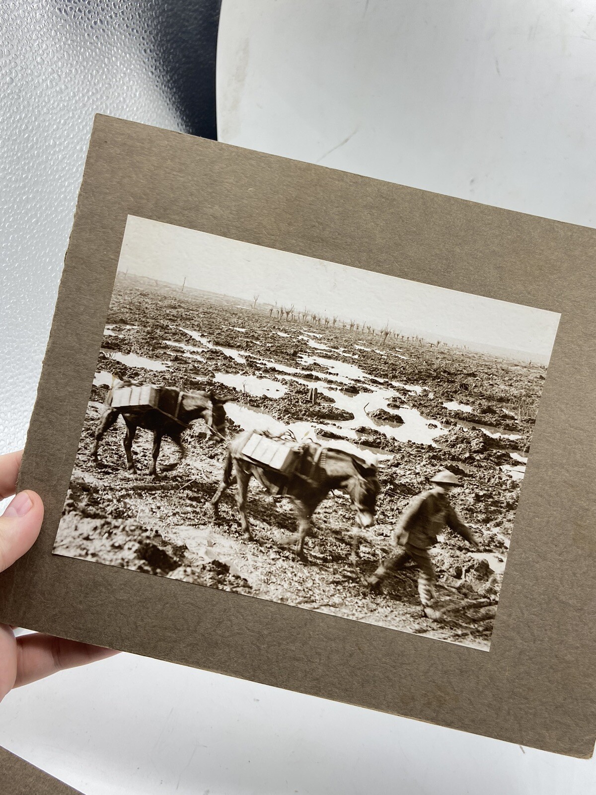Rare WW1 2nd Australian Division Complete Photograph Album