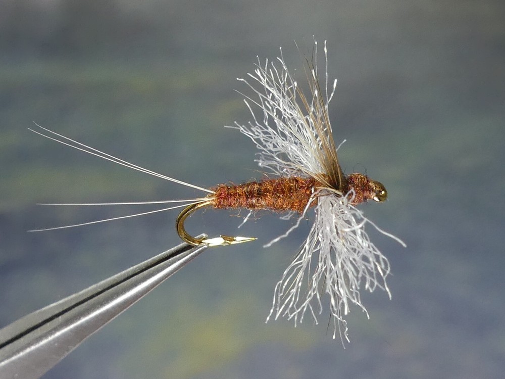 6 Flies - Rusty Soft-Hackled Spinner