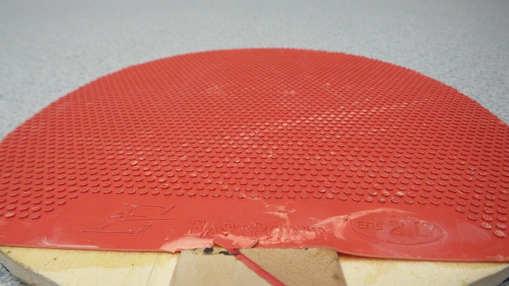 Eastpoint Ping Pong Paddle EPS 2.0 (B) SMALL DAMAGE