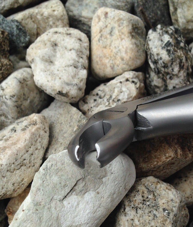 Children's Forceps Spring Lower Molars Universal  Fig 6.   #1183