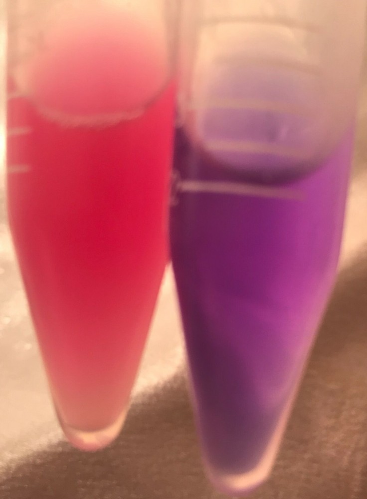 2 Canine stud dog 🔥fertility potential test 🌺- Ovulation testing @ home 💗