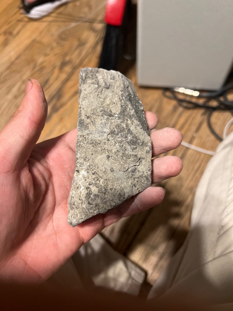 fossils other