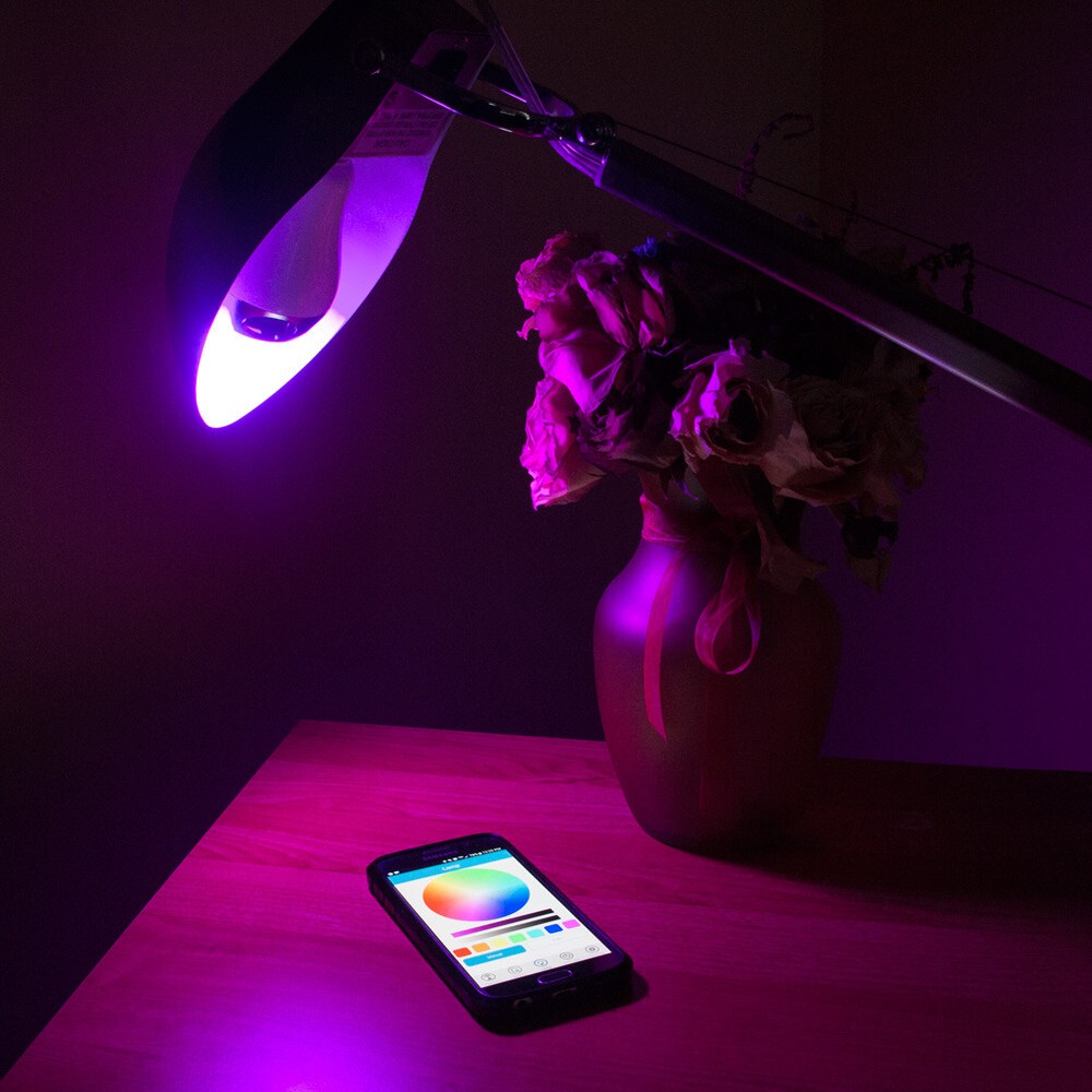 LED Smart Symphony Wireless Speaker & LED Lightbulb