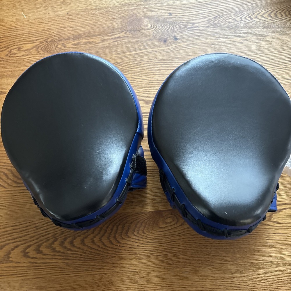 Focus Mitts