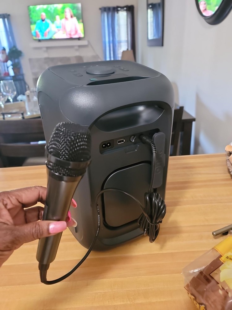 Unidirectional Dynamic Microphone for Karaoke & Public Speaking - 10ft Cord