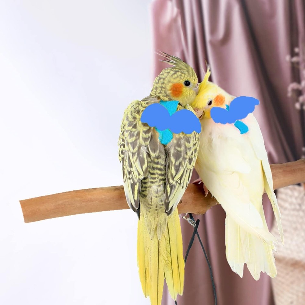 Light Blue Adjustable Bird Harness & Leash for Medium Parrots - Anti-Bite Design