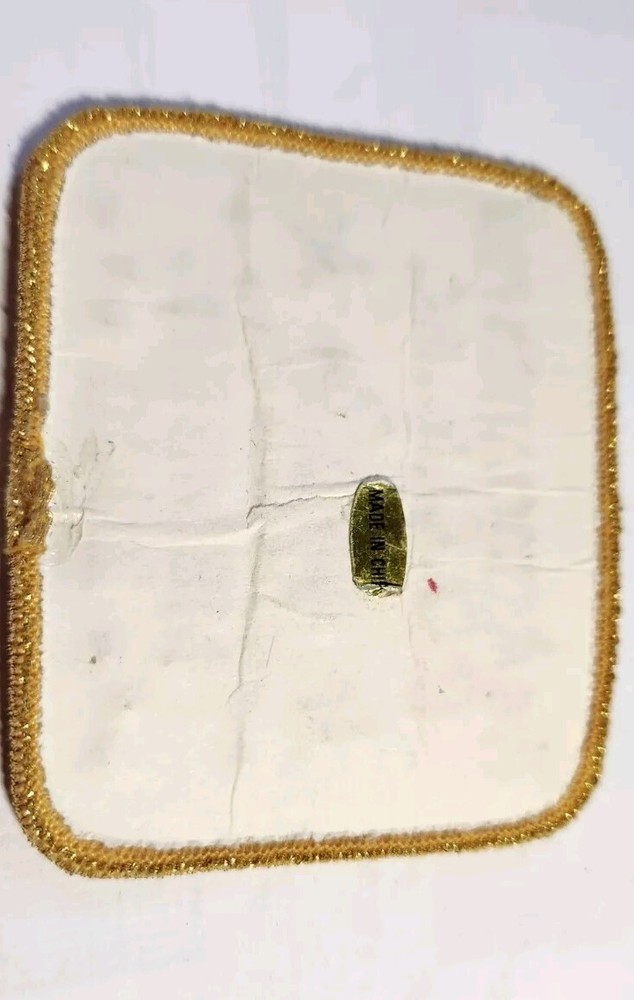 TAP The Association for Pool 2000 Member Patch