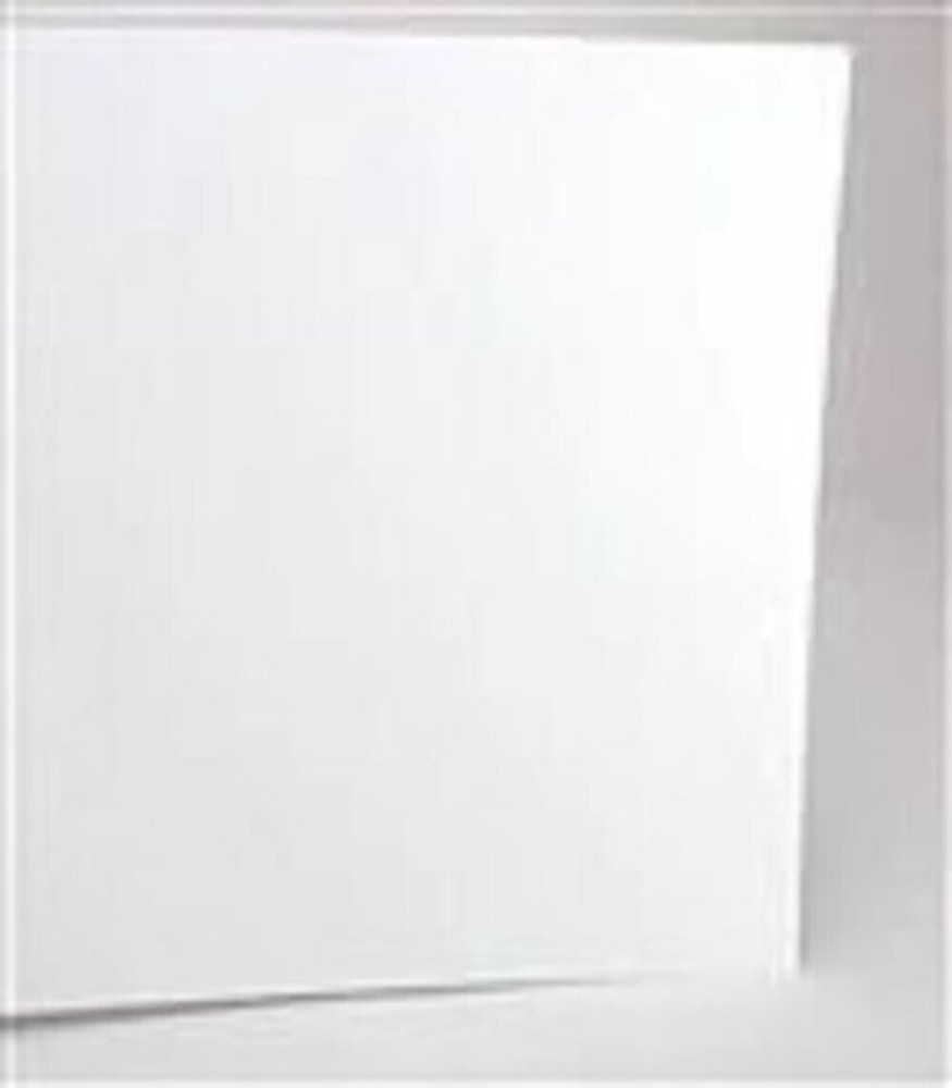 Evergreen 19125 12 X 24" PLAIN WHITE .125" THICK (2)