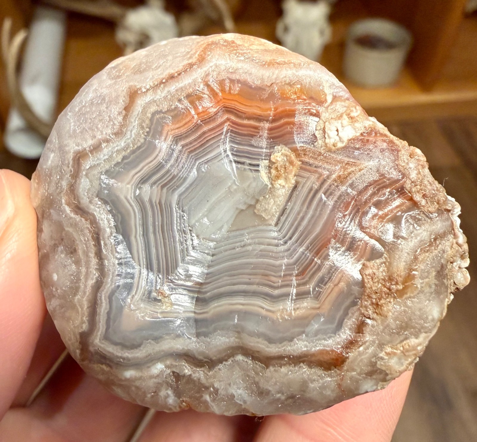 4.55oz LAKE SUPERIOR AGATE 2 GREAT FIRE & ICE COLORED BANDED FACES NEAT