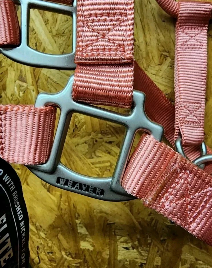 Weaver Nylon Horse Halter, Small, Pink