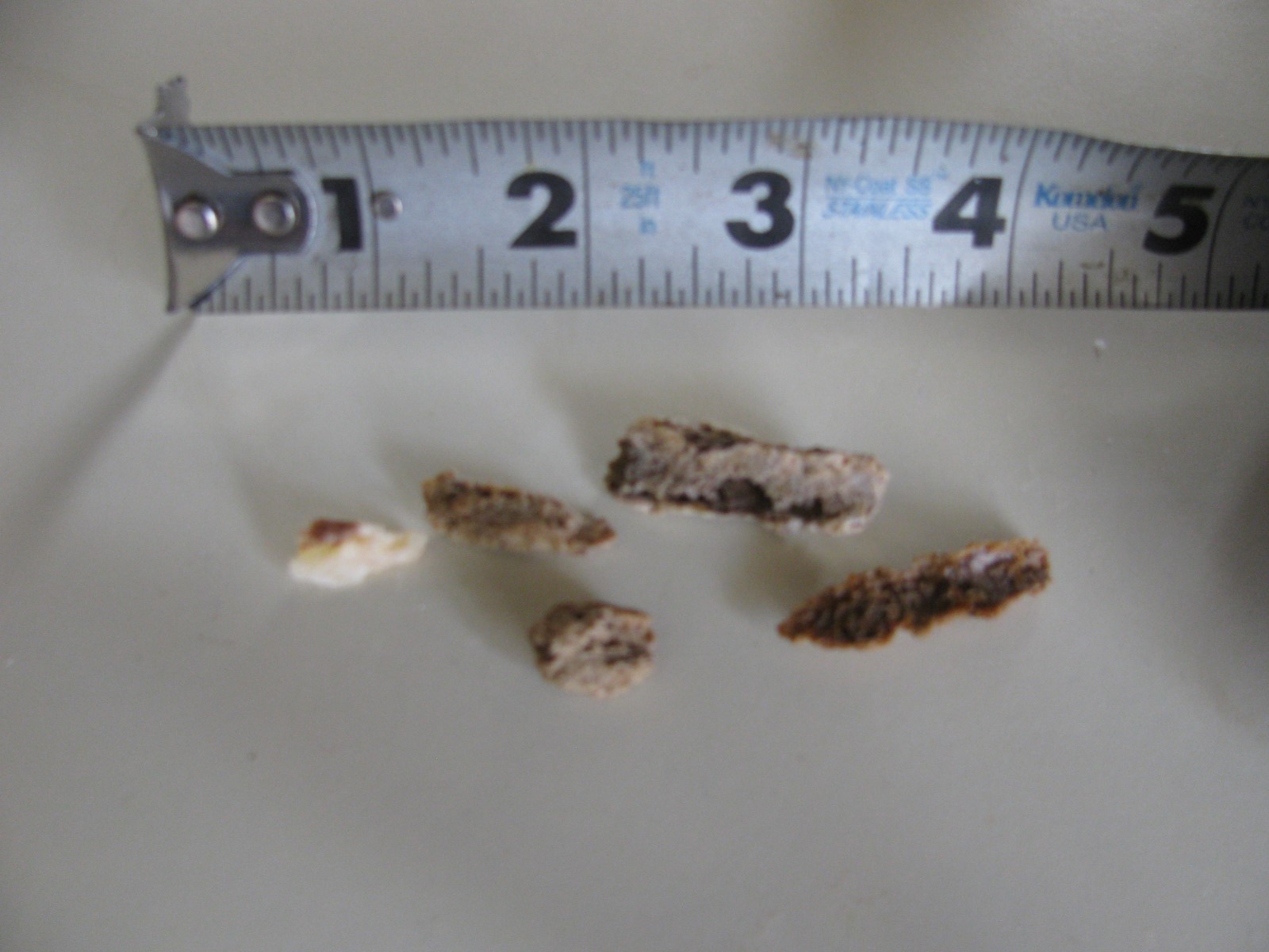 Brass Water Heater Drain Valve-Gas and Electric Water Heaters