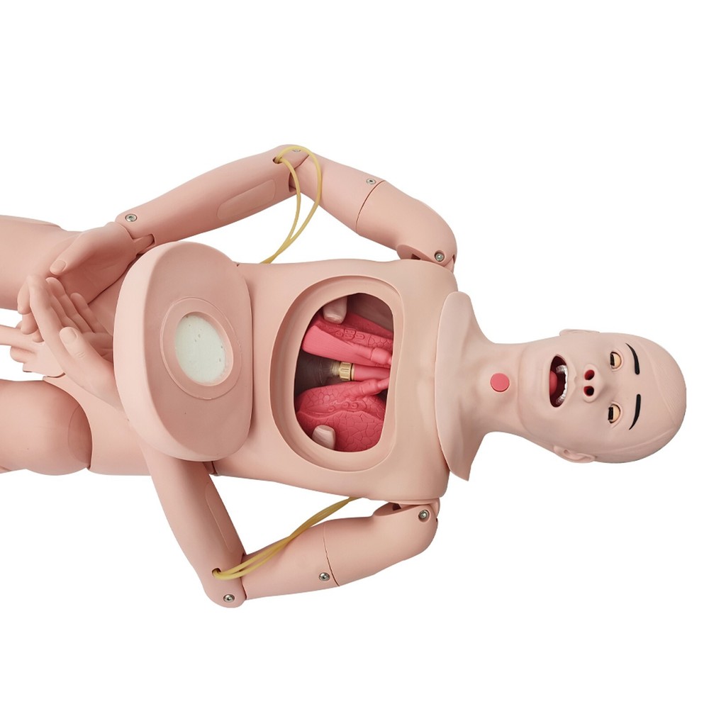 Advanced Patient Care Burn Teaching Anthropomorphic Model Trauma Nursing Model