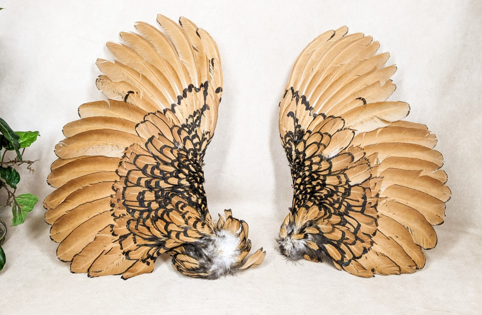 11 " Chicken Wings rooster Crafts Bird Feathers pair Halloween props costume