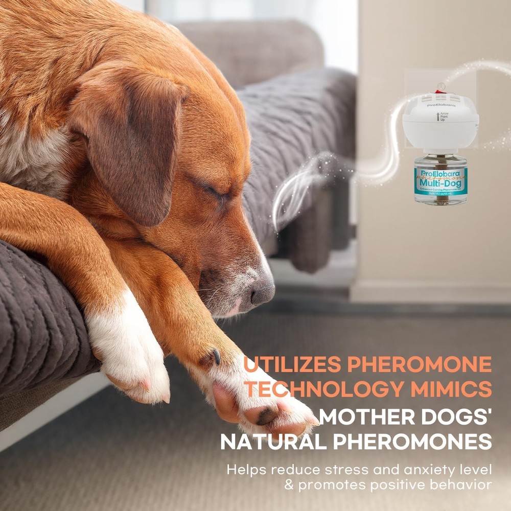 ProElobara Dog Calming Pheromone Plug Diffuser: Medium, White