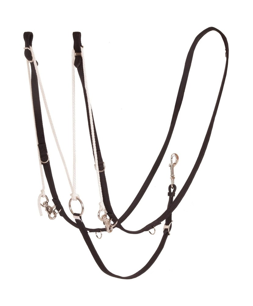 German Martingale