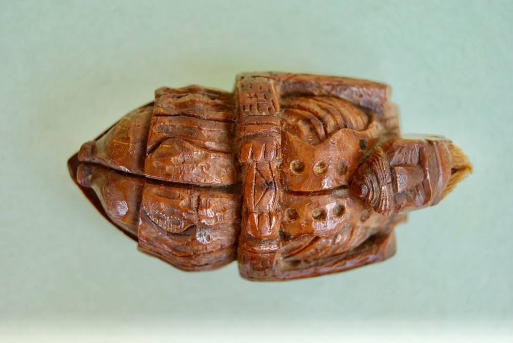 ANTIQUE COQUILLA SNUFF BOX