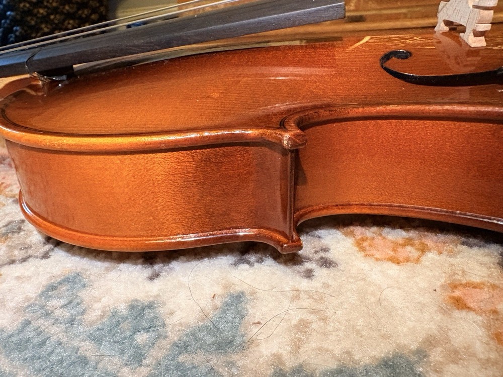 Voila Size 14 Student