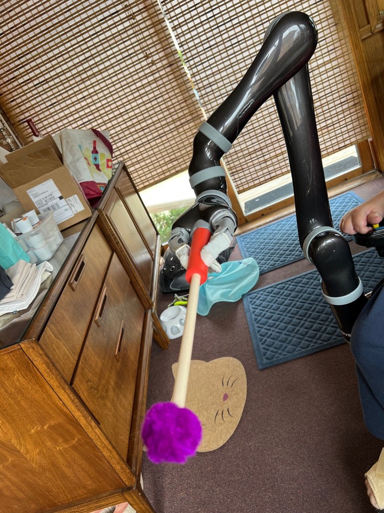 Cat Sensitizing Wand