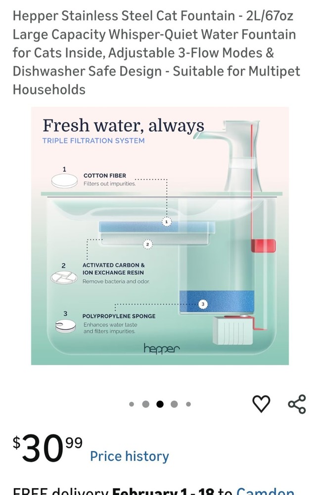 Electric Water Bowl