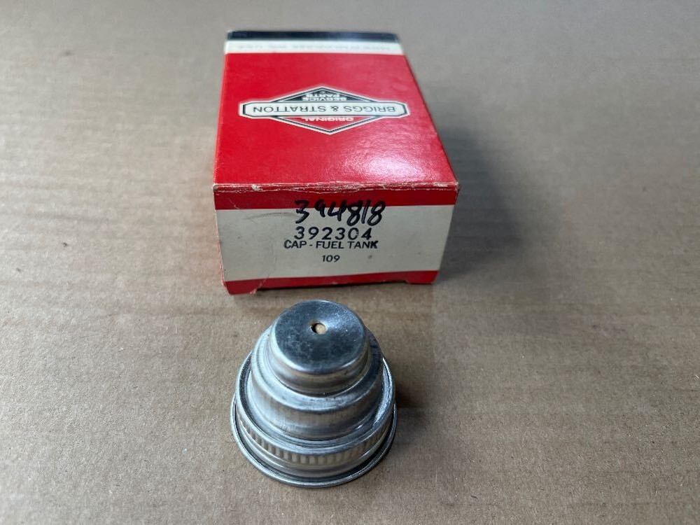 Briggs & Stratton 392304 BS394818