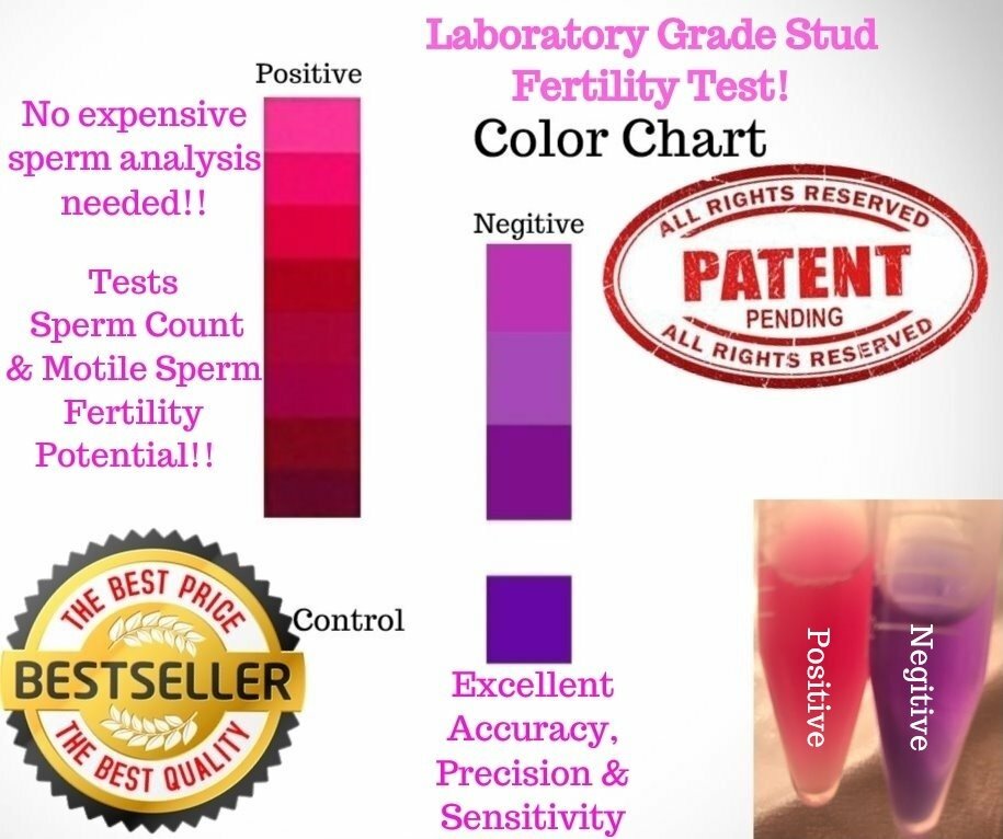 2 Canine stud dog 🔥fertility potential test 🌺- Ovulation testing @ home 💗