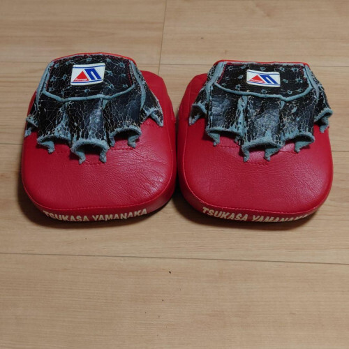 Winning Punching Mitts