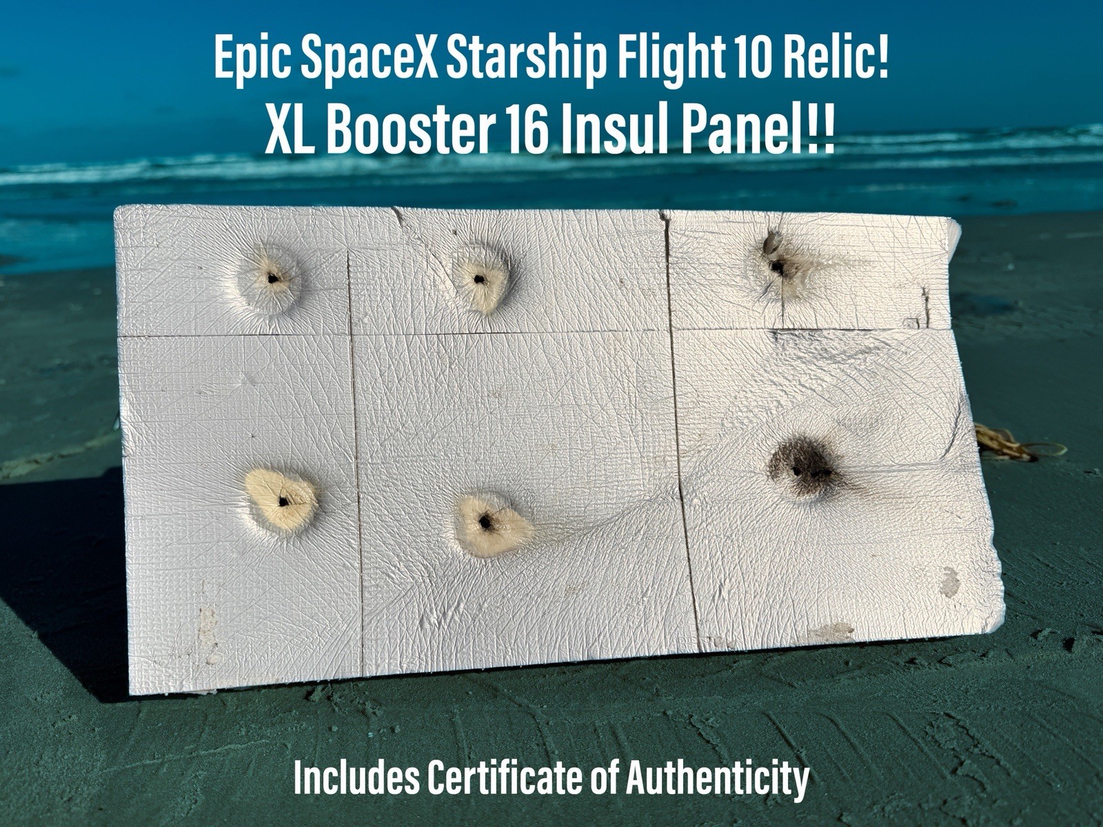 SpaceX Starship Historic Flight 10 Super Heavy Booster 16 Relic X Lg Insul Panel