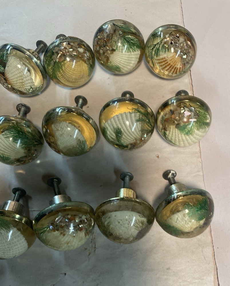 15 Vintage Fancy Round Seashell Drawer Pulls w/ Screws