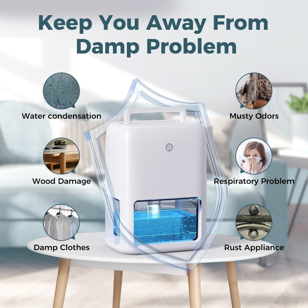 Dehumidifier for Home Small Space Moisture Control Quiet Timer Portable