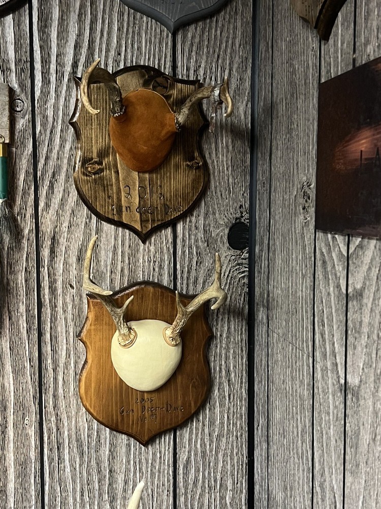 Deer Antler wall plaque handmade Gray Stain
