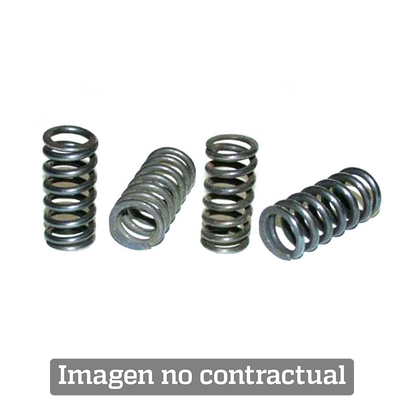 TOURMAX EQUIPMENT, CLUTCH SPRING