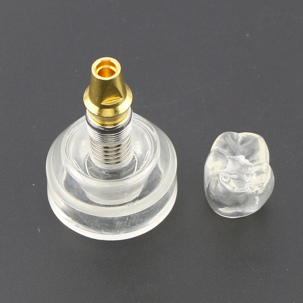 Dental Implant DemonstrationTeeth Study Teach Crown Model Acrylic Teeth Study