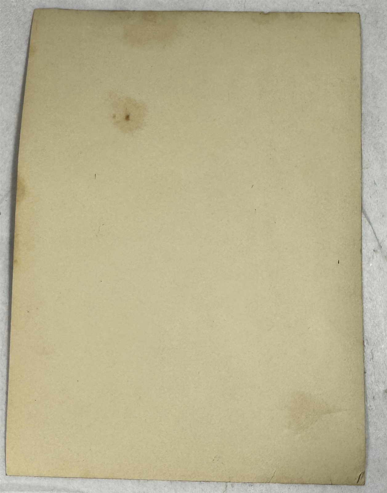 1890s Wheelman Bicycle Photo Safety Bike League of American Wheelmen c1900