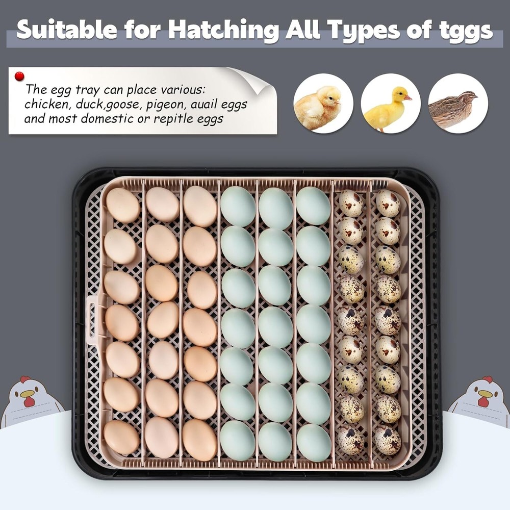 56 Egg Incubator for Hatching Eggs w/ Automatic Egg Turning & Built-in Candler