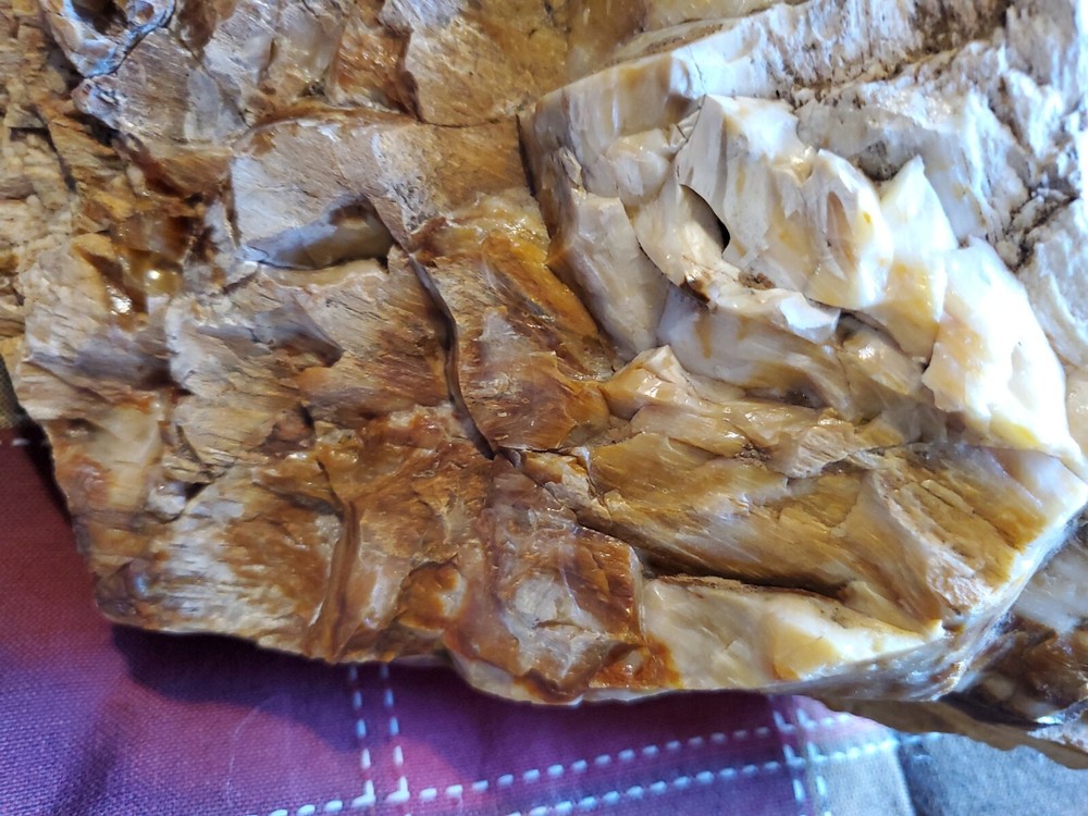 Petrified Wood Highly Agatized Amazing Sample large 19 Lbs.