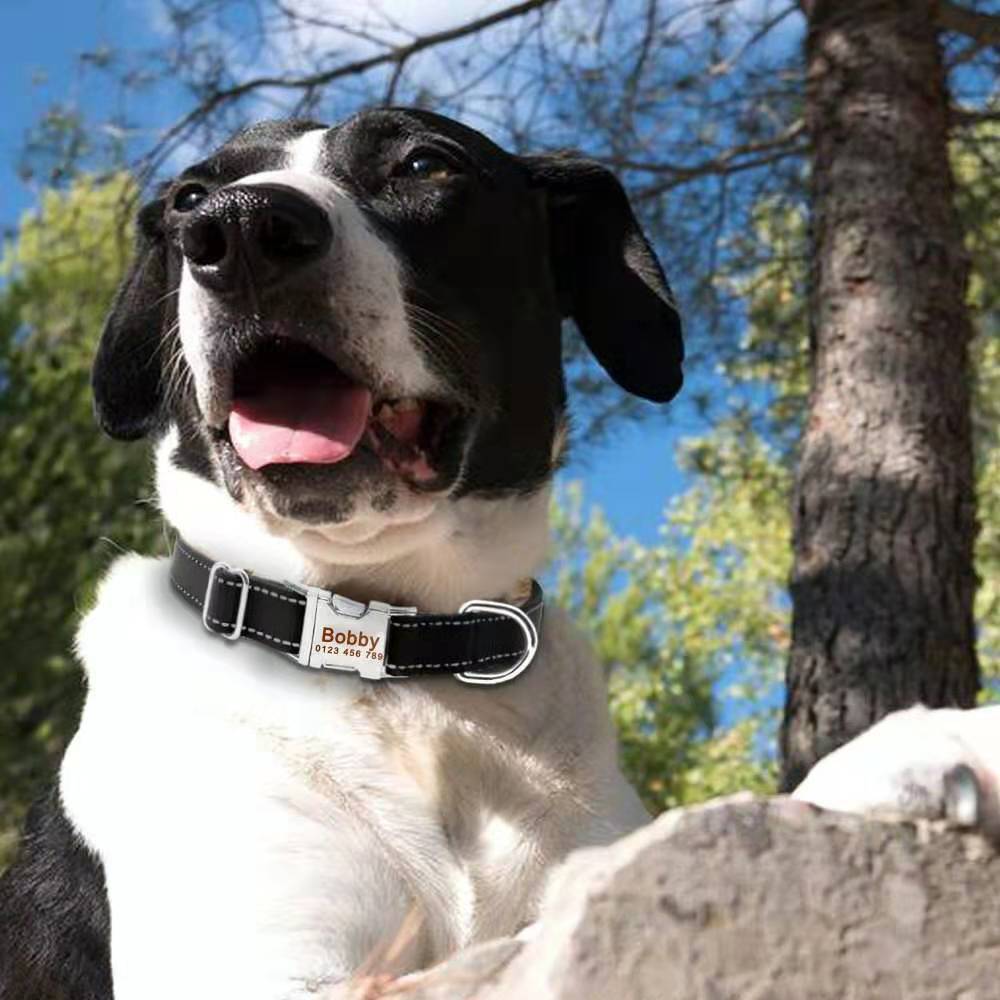 Personalized dog collar engraved custom ID Tag Name Number Nylon reflective S-XL