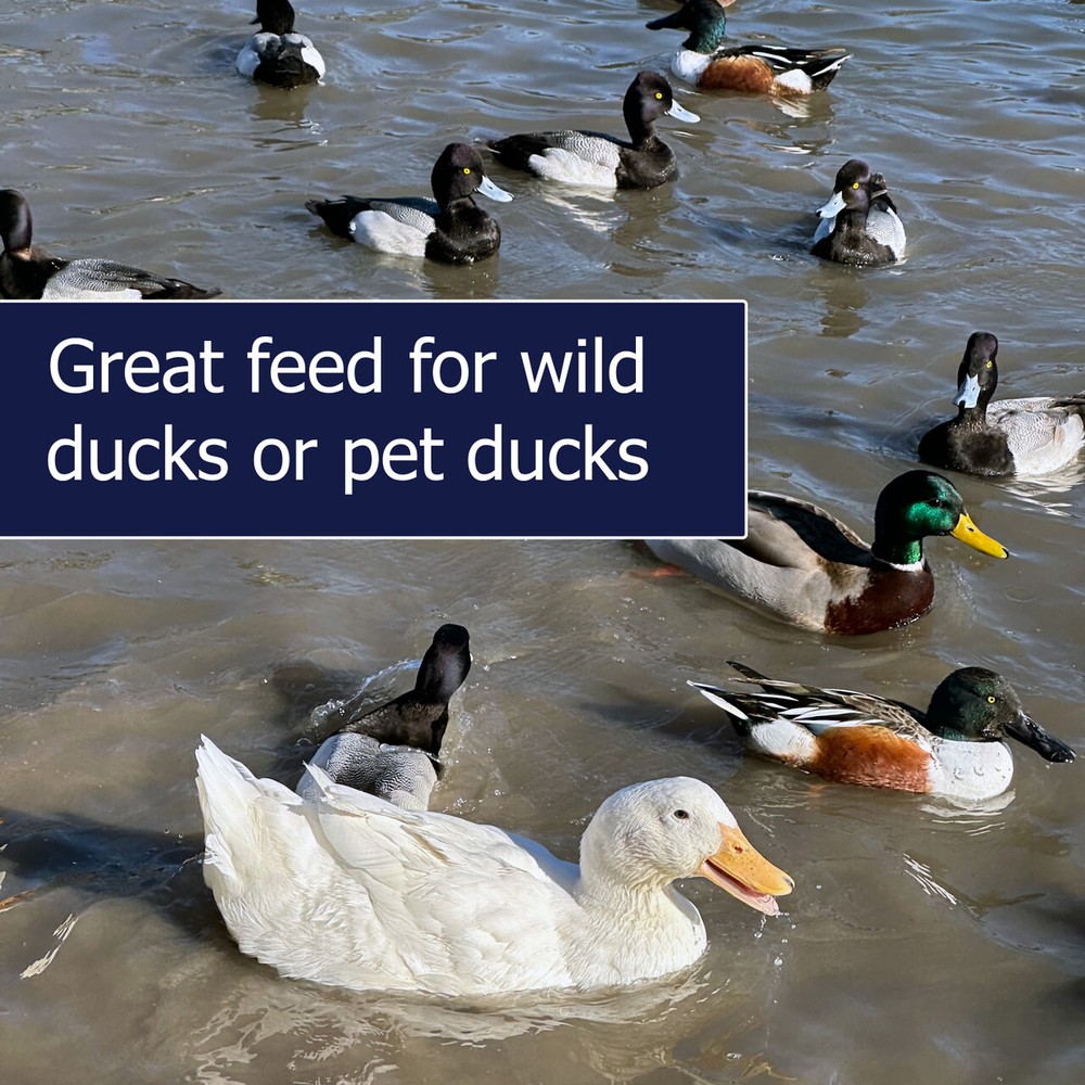 Waterfowl Floating Pellets 20 lb