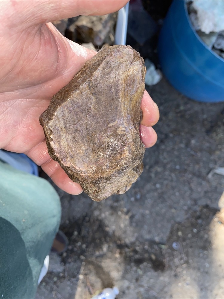 Structural dinosaur bone