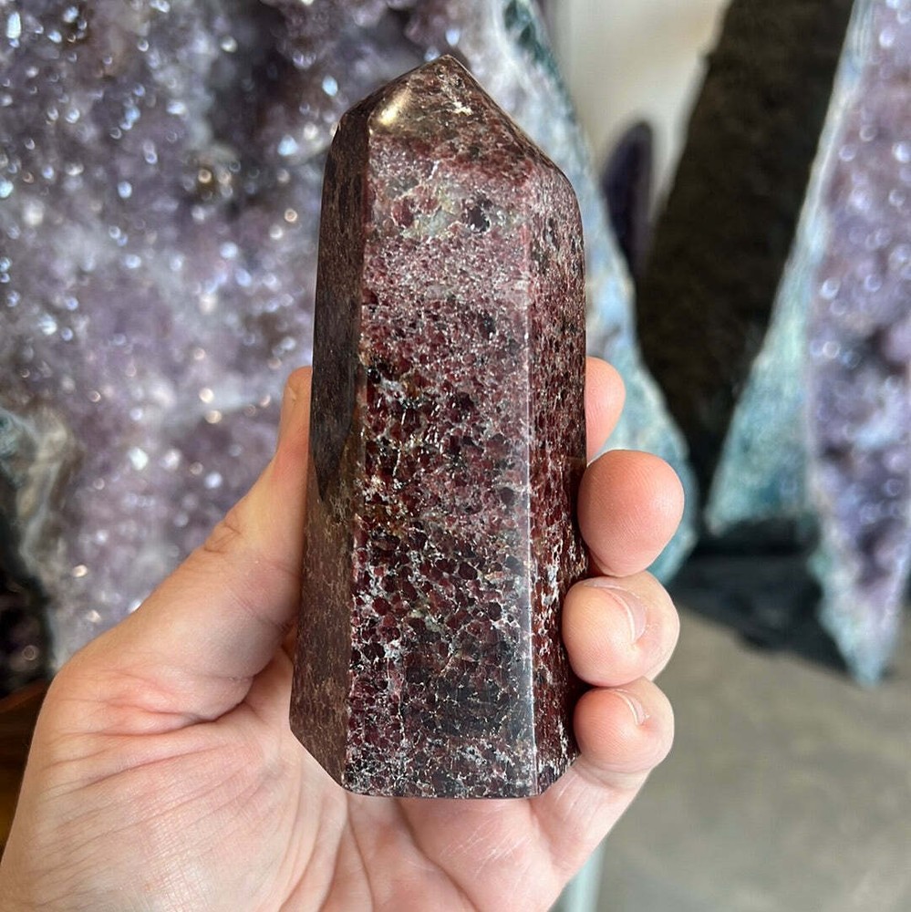 Garnet Tower D