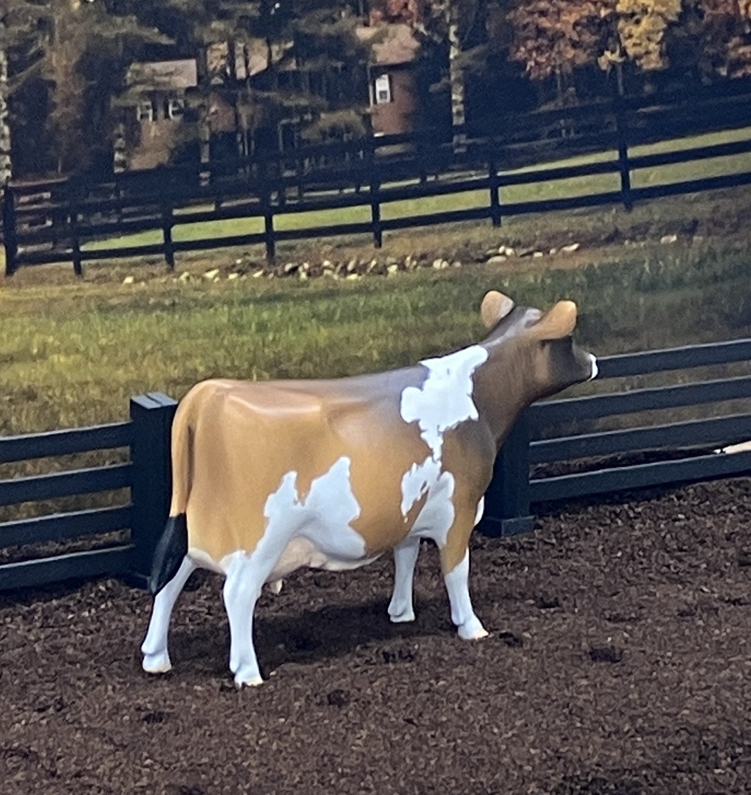 Custom CM Breyer TSC 1:20 Ornament Spot Jersey Holstein Figurine Model Dairy Cow