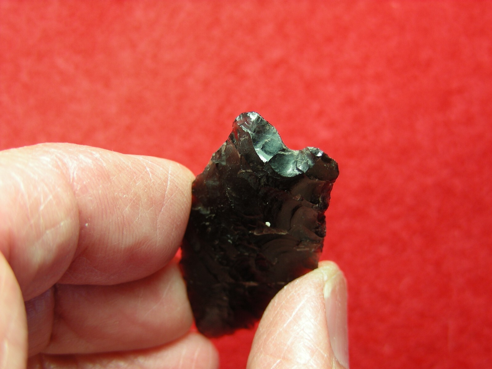 HUMBOLDT 1-1/2" CALIFORNIA Authentic Indian Relics