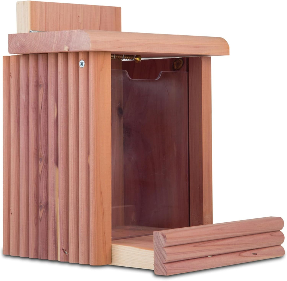 Cedar Squirrel Snacker Feeder, 2.75 LB Capacity