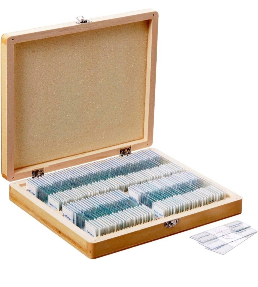 AmScope PS100B 100 Homeschool For Basic Biology Prepared Microscope Slides -Set