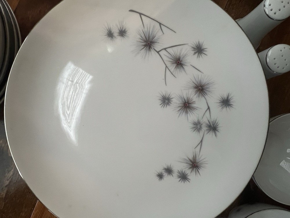 Beautiful 57 Piece Platinum Starburst Dinnerware By Creative