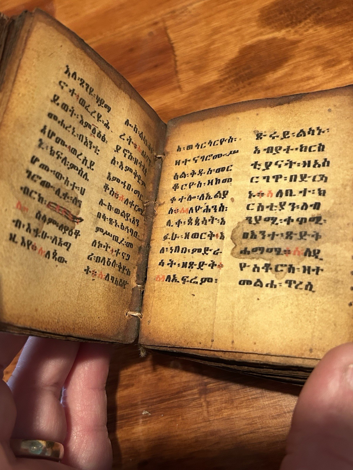 Antique African / Ethiopian Coptic Ge'ez Script Bible On Vellum w/ Docs 1800s