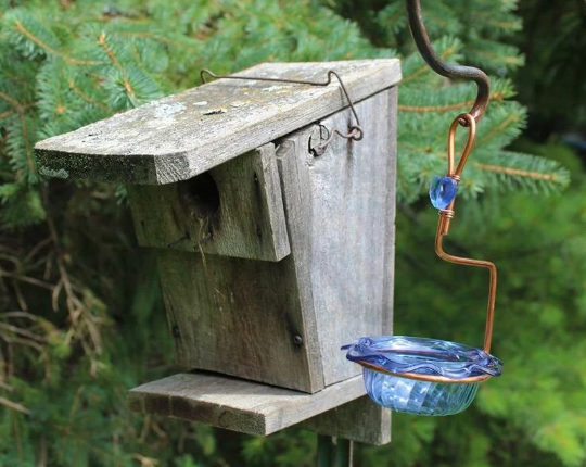 Bluebird Feeder Single