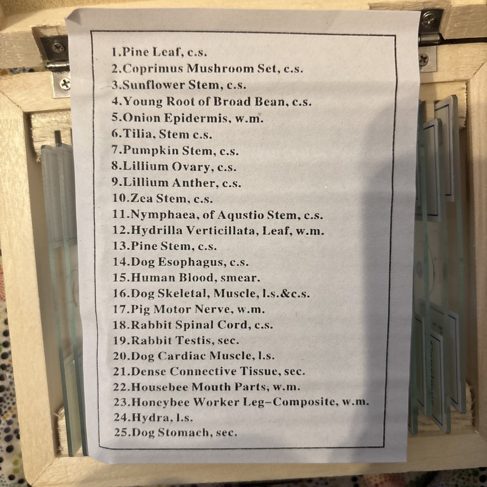 AmScope PS25W Prepared Microscope Slides 25 Science Education Learning New