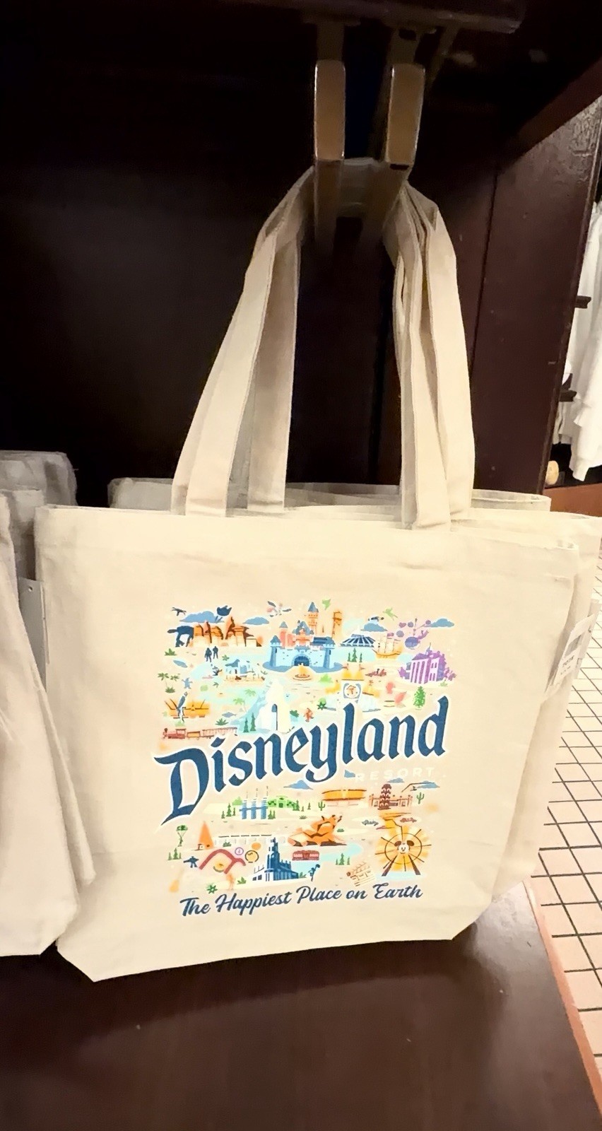 New 2026 Disneyland Resort Tote Bag