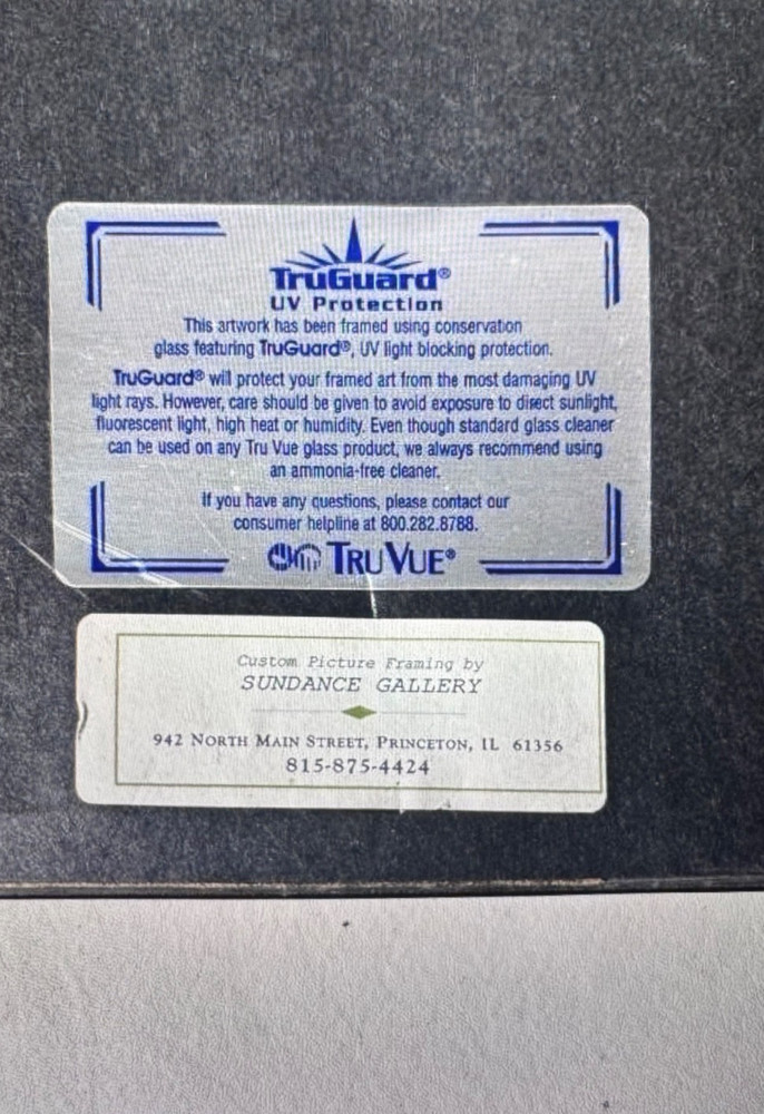 Commemorative Apollo 11 Medallion, Astronaut Print