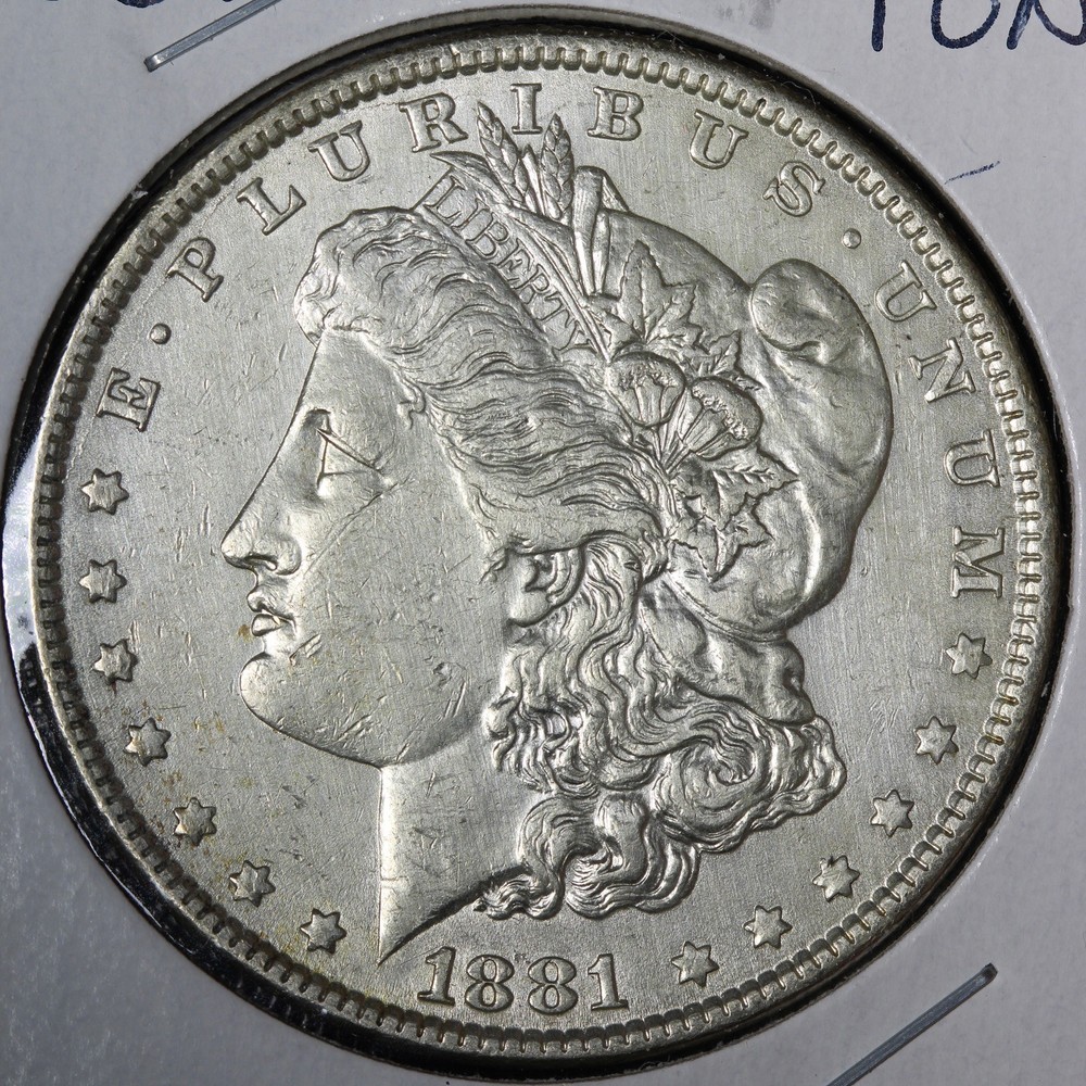 1881 Morgan Silver Dollar TONED E347 SRTY